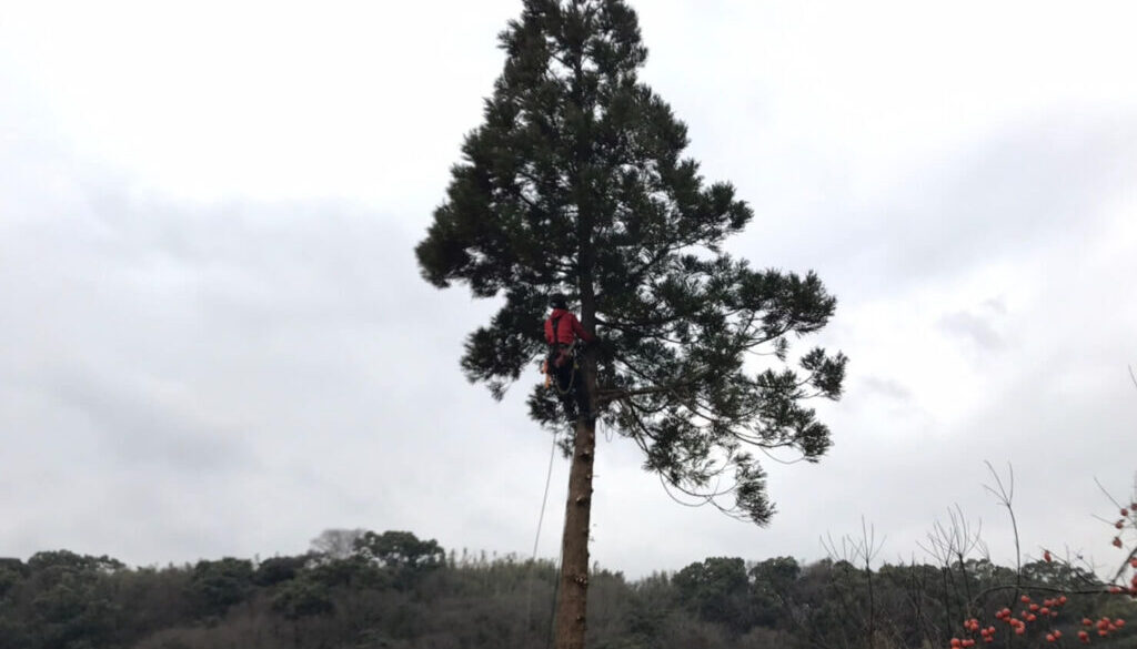 LINE_ALBUM_浅野邸　玉名市南坂門田_230213_6
